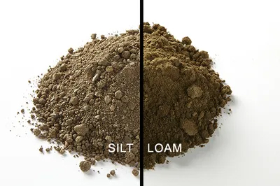 silt loam